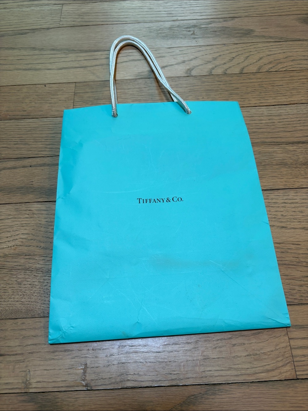 Tiffany Blue Shopping Bag with White Rope Handles